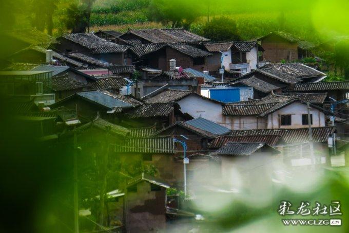 20部作品入选“迎新春 乐悠游”优秀剧本娱乐作品